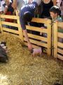 2010 05 24 jeanmarcperfetti.com 080.JPG